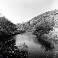 River Swale, Hag Wood